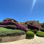فيلة Acula *