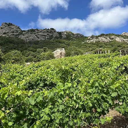 Acula Villa Cannigione