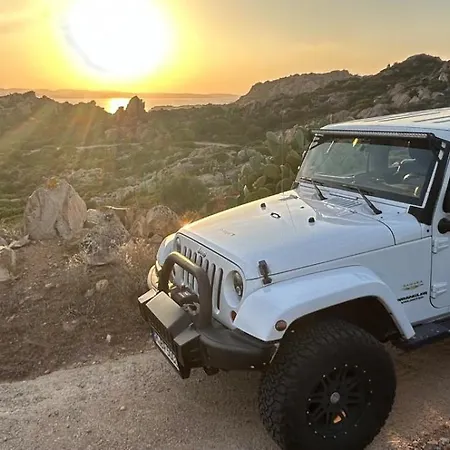 Acula קניגיונה